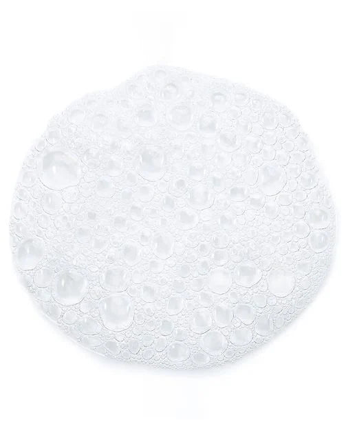 CeraVe Foaming Facial Cleanser (Normal to Oily Skin)